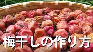 梅干しの作り方How to make delicious umeboshipickled ume [upl. by Ailsa]