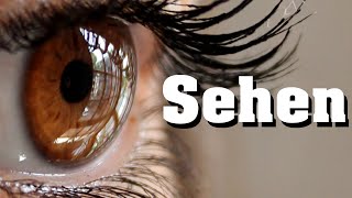 Sehen  Sehvorgang schnell erklärt [upl. by Warila]