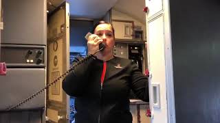 Southwest Airlines flight attendant chokes up thanking Honor Flight veterans [upl. by Conrad784]