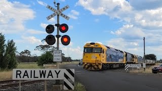 Every Crossing on the Portland Line [upl. by Yhtorod637]