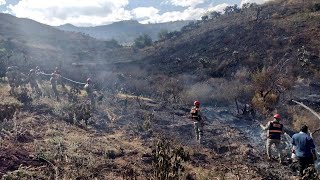 Incendio forestal deja cinco muertos en Perú  AFP [upl. by Grata]