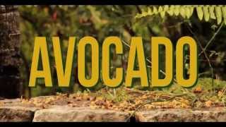 Jah9  Avocado Official Video [upl. by Addiel]