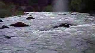 Big rapids on Nisqually [upl. by Enoed]