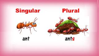 Singular and Plural Nouns  Class 1  CBSE [upl. by Sturdivant]