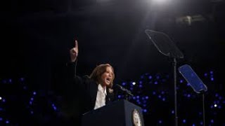 quotKamala Harriss New Proposals for Black Men Key Plans Ahead of the 2024 Election Explainedquot [upl. by Claire564]