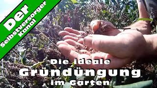 Die ideale Gründüngung im Garten [upl. by Bonina75]