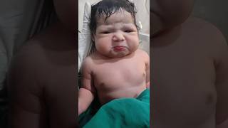 chubby girl in the world viralvideo cutebaby bornebaby bornebaby [upl. by Epillihp833]