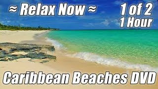 MEDITATION OCEAN 1 HOUR Beach Hypnosis Relaxing Nature Sounds Relax Study Waves Studying Videos [upl. by Ennovehs]