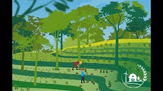 Basics of Agroforestry [upl. by Angadresma261]