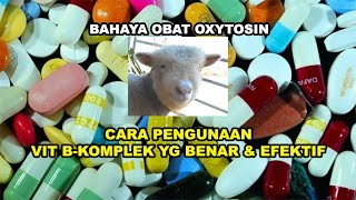 GTPI 151 Apa Manfaat Vit B Komplek amp Gimana Cara Penggunaanya Apa Efek Oksitosin [upl. by Cherian]