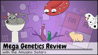 Mega Genetics Review [upl. by Atenahs]