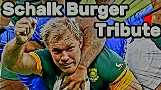 Schalk Burger Tribute  Hardest Springboks amp RWC 2007 Rugby Player  Fights amp Tries rugby sports [upl. by Ruby]