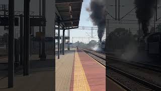 Ty42107 z pociągiem retro relacji Tarnów  Tuchów shorts kolej pkp train railway [upl. by Iak913]