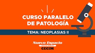 NEOPLASIAS II  Paralelo de Patología I [upl. by Desdamona]