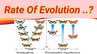 Rate of evolution  Lecture no  32 [upl. by Melia]