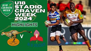 Dynasty in Doubt Western Province vs Free State Cheetahs  A Craven Week Final for the Ages 2024 [upl. by Ennailuj581]