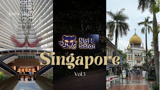 シンガポールvlog 3｜Parkroyal Collection🪩｜Arab St🕌｜Night Safari🦩🌙 [upl. by Nort]