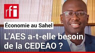 quotSortir du CFA  La monnaie de lAES crédible et souhaitablequot dit léconomiste Ndongo Samba Sylla [upl. by Arbe447]