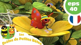 DRÔLES DE PETITES BÊTES  EP40  Pour les beaux yeux dune guêpe [upl. by Nomar]