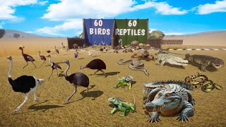 60 Birds VS 60 Reptiles Animals Race in Planet Zoo included Crocodile Chicken Tortoise Ostrich [upl. by Enitsyrk561]