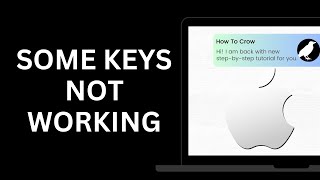 Fix Some Keys Not Working on Laptop Keyboard  Keyboard Not Working on mac [upl. by Sandye]