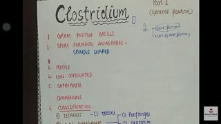 CLOSTRIDIUM  GENERAL FEATURE  MICROBIOLOGY CLASSIFICATION gram positive bacilli part 1 8point [upl. by Ogires]