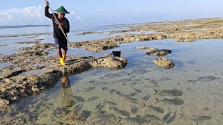 Hari ke 18 di Pulau Terpencil KUBANGAN AIR DI PENUHI GEROMBOLAN IKAN 😱 [upl. by Lebezej]