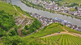 German Riesling Wine Journey [upl. by Adnarom694]