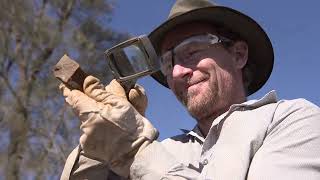 The Fossil Treasure Trove I 15 Million Years Later I McGraths Flat NSW [upl. by Torbert]