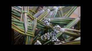 Prayer of St Brigid [upl. by Ecinuahs]