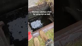 marines catches a fish by using zyn as bait marinecorps semperfi usmilitary usa [upl. by Johny]