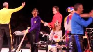 WIGGLES CONCERT LIVE FOOTAGE👍 [upl. by Linet]