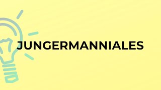 What is the meaning of the word JUNGERMANNIALES [upl. by Reinaldo577]