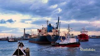 chemical tanker CHEM VENUS HOIX IMO 9324215 exit Emden lock with 2 tugs timelapse [upl. by Snehpets]