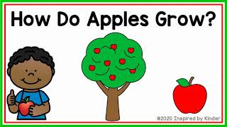 How Do Apples Grow Apple Life Cycle [upl. by Airret]