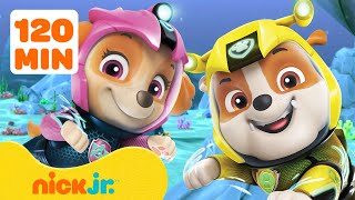 PAW Patrol  ¡Rescates PAW Patrol en todos lados menos Bahía Aventura 💥 2 horas  Nick Jr [upl. by Pembroke661]