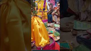 Tulsi vivah 🙏ytshort ytshortsindia shortvideos tulsi [upl. by Adnoraj]