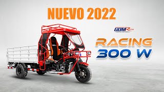 Moto Carguero  Racing 300 w  NUEVO modelo 2022 [upl. by Nofpets]