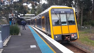 Warrawee Trainspotting [upl. by Butta]