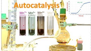 Autocatalysis reaction handson [upl. by Semaj469]