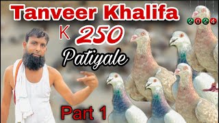 Tanveer Khalifa k  250 Patiyale 🔥Kabootaro ka Shok  Part  1  Talim Ustad Akhtar 🤩 [upl. by Einavoj68]