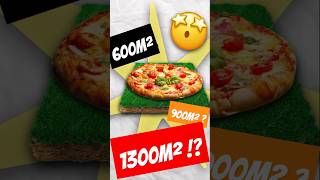 Une pizza de 1300m² [upl. by Arianne]