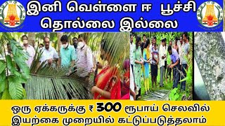 100வெள்ளை ஈ யை உயிரியல் முறையில் கட்டுப்படுத்தலாம்coconut white fly control in biological methods [upl. by Aneger]