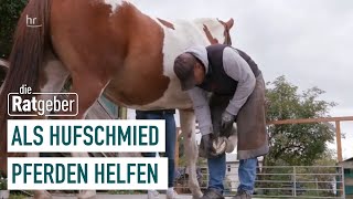 Der Hufschmied  Altes Handwerk in jungen Händen 25  Die Ratgeber [upl. by Noillimaxam846]