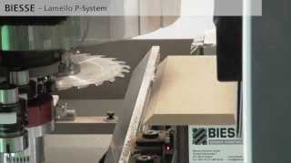 Biesse cnc operation for Lamello Clamex [upl. by Doran251]