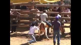 Oaxaca La Fiesta del Jaripeo Yolox [upl. by Roberto]