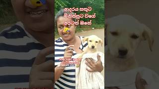 Baby dog❤Cute Puppies❤ මනුස්සකම පිරැණු අය එකතුවෙමු🙏❤ trending dog love [upl. by Joel]