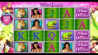 White orchid slot bonus game [upl. by Hashum]