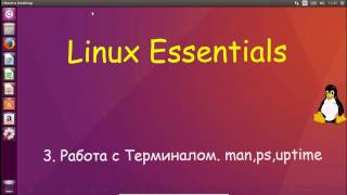 Linux для Начинающих  Работа с Терминалом первые команды [upl. by Dorrej564]