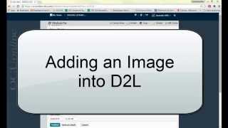 Adding an Image to D2L [upl. by Orban]